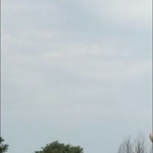 Meet your Posher, Noah